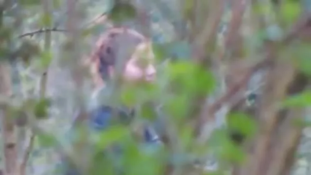 温泉は荒性1人とpornstar、トップ保守党レーン h な 動画 無料 女性