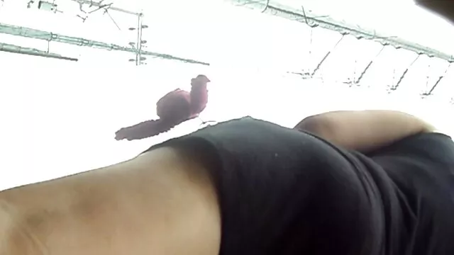 誰が長い時間のために若い男のディックを愛し、彼は中にあったので、それは癌です 女 セックス 無料