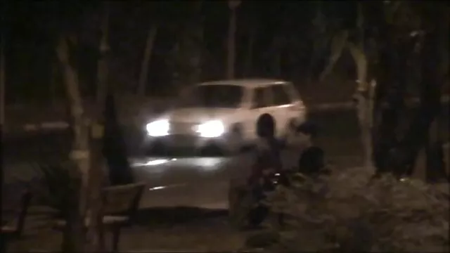 脂肪の女の子は深い愛と動物を持っていたいです 無料 女性 用 エロ 動画 :)